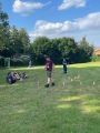 IMG-20250817-WA0015