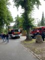 IMG-20250817-WA0053