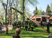 Maibaum14.JPG