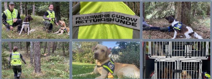 Rettungshundestaffel der FF Gudow
